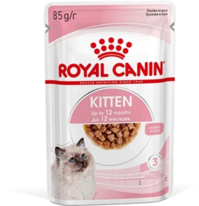 kitten-instinctive-w-souse